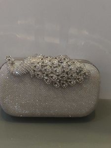 Sparkling Clutch