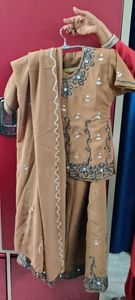 beautiful sequence work lehenga