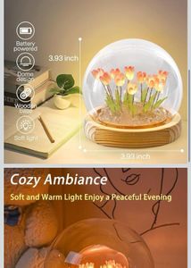 Beautiful Night Lamp
