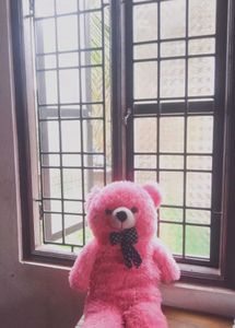 Pink Teddy Bear