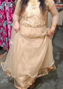Elegant Embellished Lehenga Choli