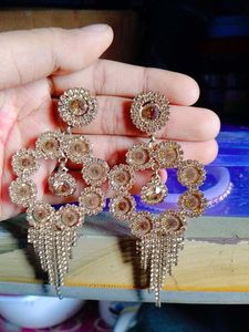 Beutiful Earings