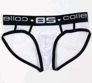 0850 Collection Brief