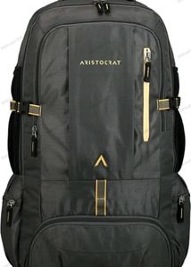 Aristocrat 45 Ltrs Grey Rucksack (RUCHIKEGRY)