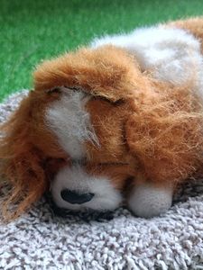 Slipping Puppies Soft Toys For Kids