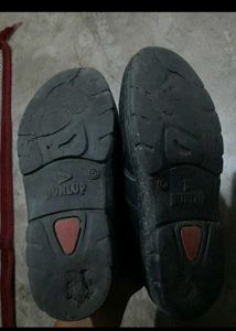 The Shoes 👞