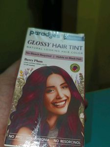 Paradyes Berry Plum Hair Color