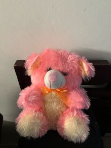 Pink Teddy Bear