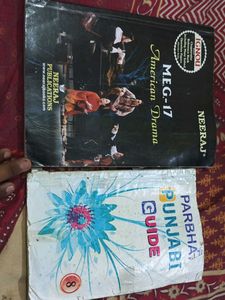 Punjabi Guide - Grade 8