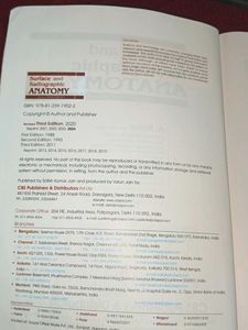 surface and radiological anatomy