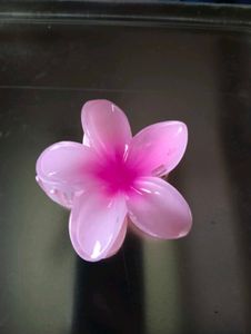Hair Clip Bundle