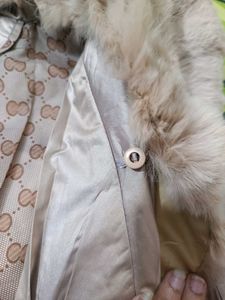 Winter Jacket
