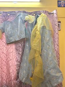Elegant Lehenga Choli Set