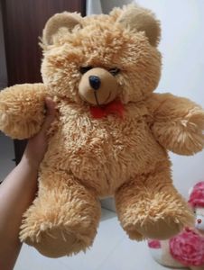 Teddy For Kids