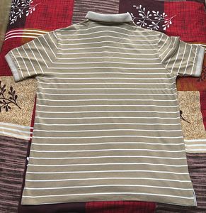 Striped Polo T-Shirt