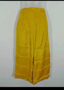 Beautiful Suit With Plazo