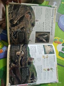New Nature Encyclopedia