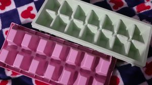 New 2PCS ICE TRAYS