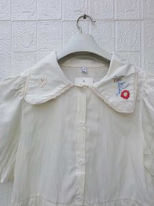 New with tag Pinterest Cute Embroidered Collar Blo