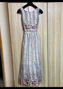 Grey elegant Gown