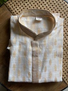 Elegant Kurta with light zari work