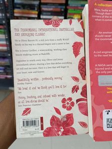 Fiction Books Storyline &amp; Loathe to Love You