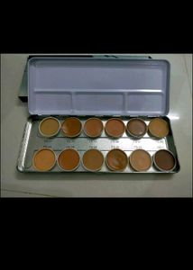 C2p Professional Concealer Palate