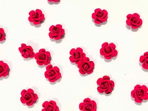 Mini Rose