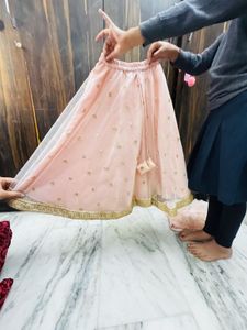 Pink Embellished Lehenga Choli