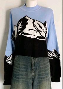 H&amp;M In­tar­sia-De­sign Sweater - Free Size