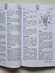 Dictionary Of Botany By Robert Macmilan
