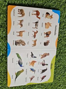 Combo Of 2;Text Book For Preschool Children