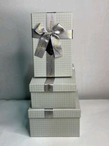 Elegant Silver Gift Box Set ✨🎁🌿