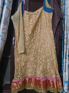 Elegant Ethnic Dress