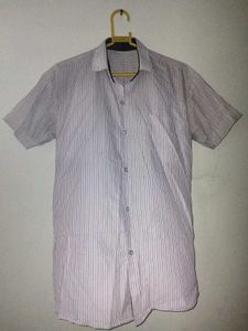 Striped Short Sleeve Shirt