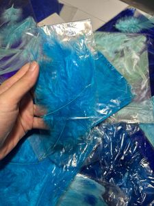 20 Packet Blue Colour Shade Feathers