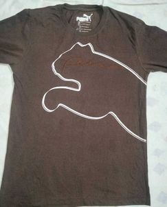 Girls Full Sleeve Tshirt