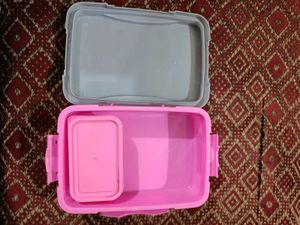 Barbie Girl Tiffin Box