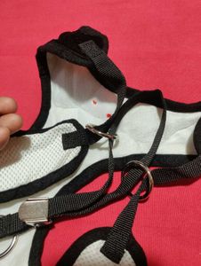 Dog Tuxedo Harness - Size L