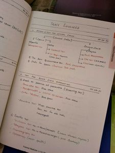 Marrow notes