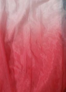 Ombre Dual Tone Organza Saree Without Blouse