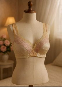 🇳🇿💫💗 imported Silky Shiney Bra