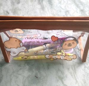 Transparent Pencil Case 🤎🤎🐻