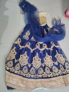 Blue Embellished Lehenga Choli Set