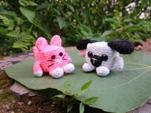 Dog Or Cat/Rabbit
