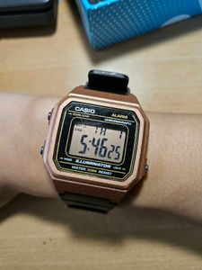 CASIO Unisex Casual Watch W-217HM-5AV