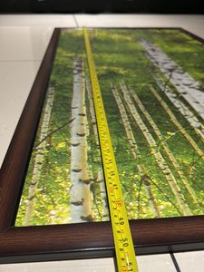 Imported Beautiful Nature Frame