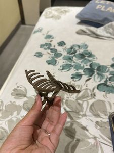 Brown Hair Claw Clip