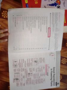 Class 12 Textbook Bundle