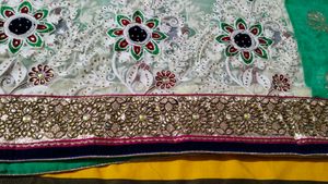Green Chiffon And Net Sari With Blouse